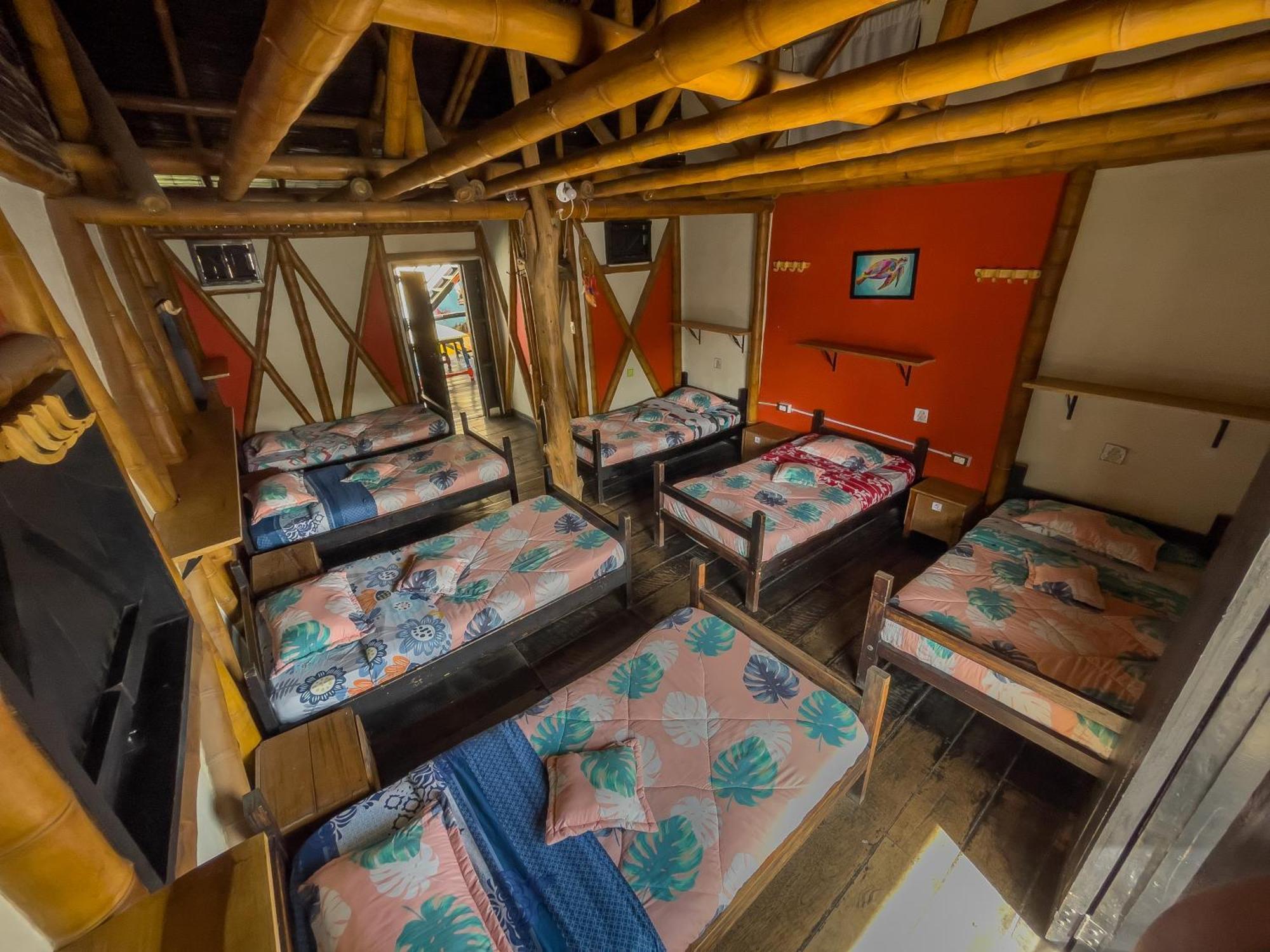 Hostal Bambu San Agustin  Phòng bức ảnh