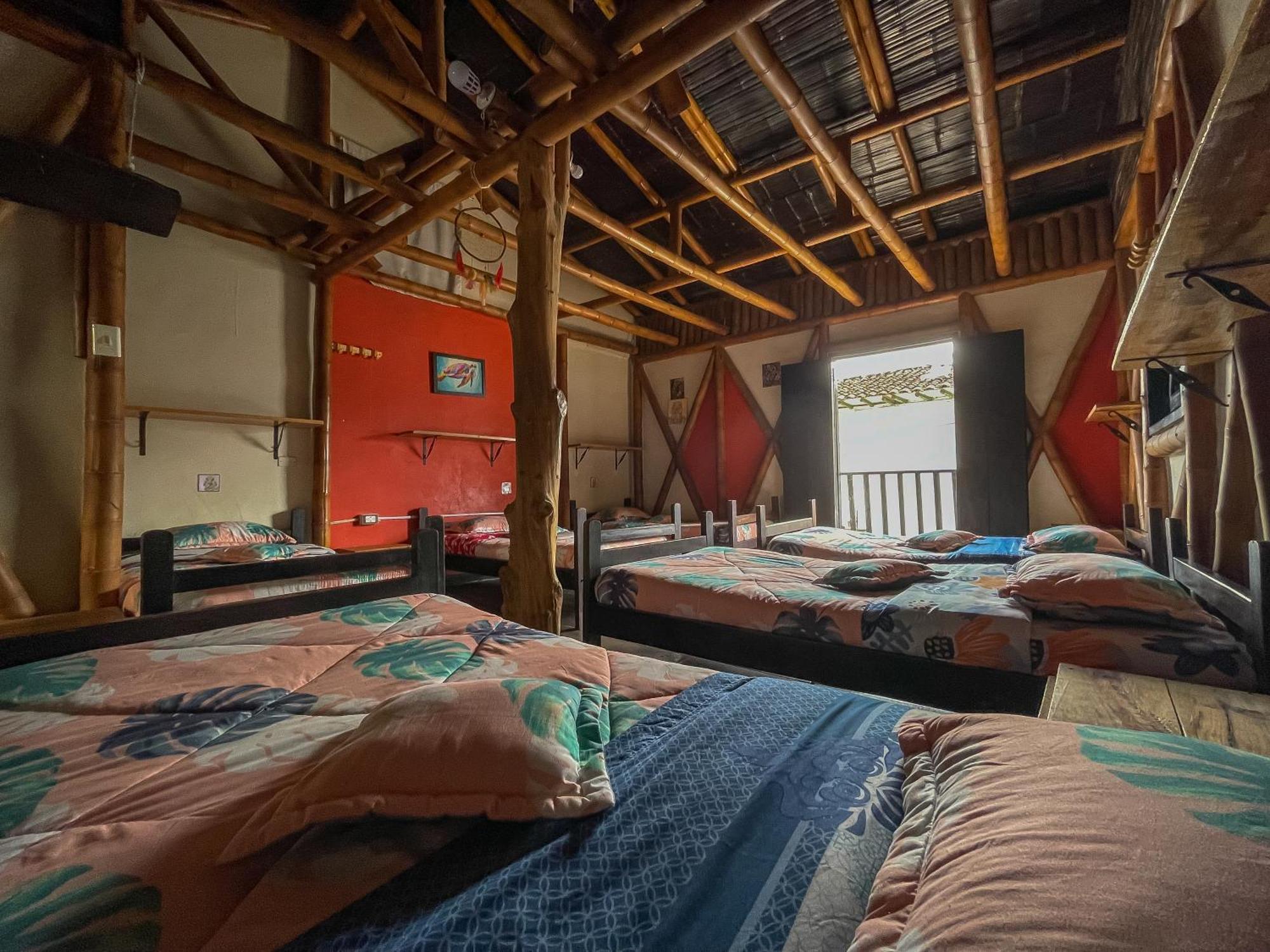 Hostal Bambu San Agustin  Phòng bức ảnh